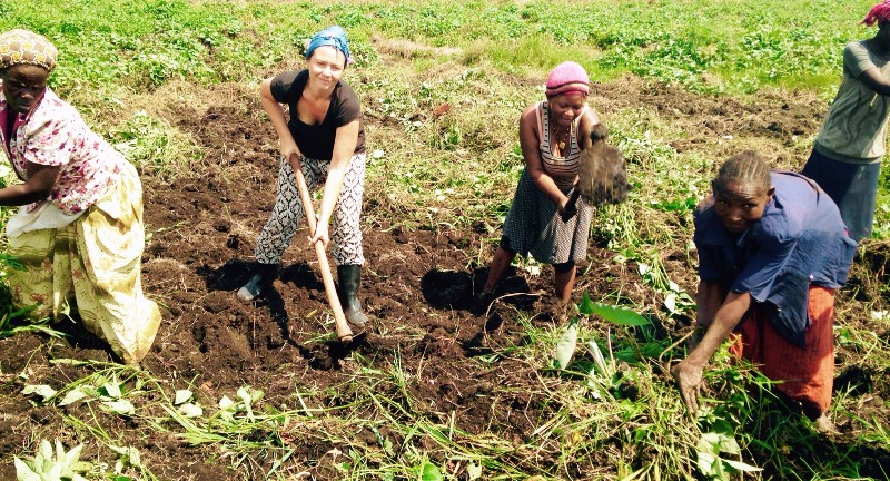 Agriculture Volunteer
